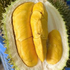 sầu riêng
