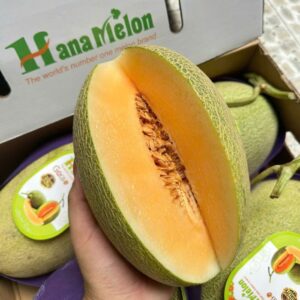 dưa lưới