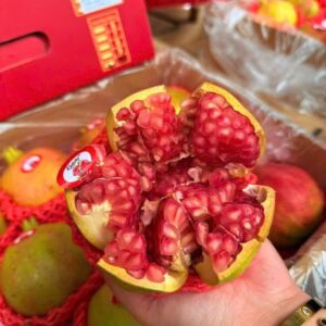 lựu Đỏ